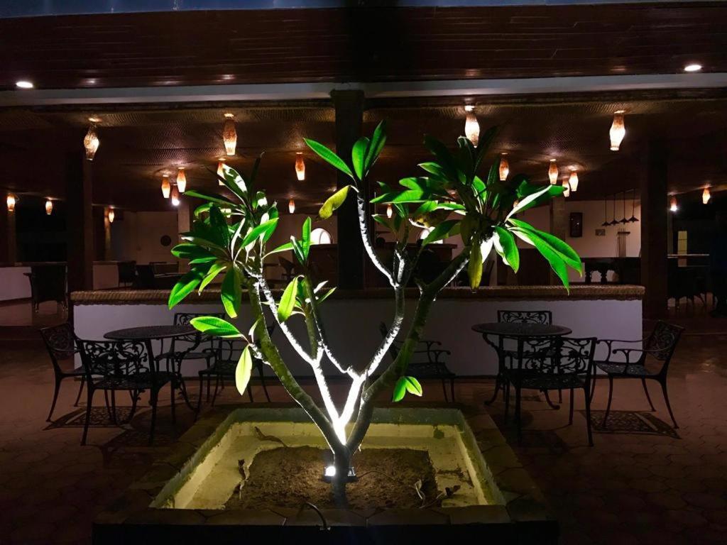 Peacock Beach Hotel Hambantota Exteriér fotografie